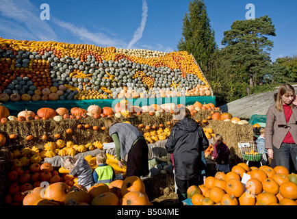 Annual decorative display of pumpkins at Slindon, West Sussex, UK Stock Photo