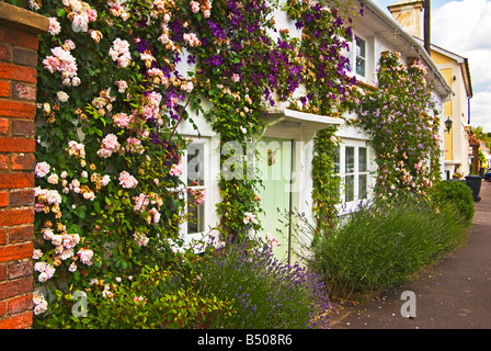 Stockbridge, Hampshire, England, Pretty display of climbing roses in Stockbridge Hampshire uk Stock Photo