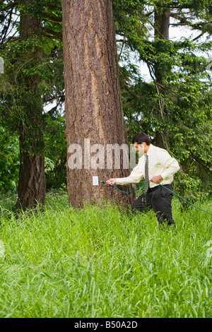 Mixed race businessman in tall grass near a tree about to plug in an electrical cord to a electrical receptacle on the tree Stock Photo