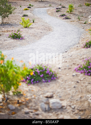 desert path with a winding lonely path leading through the desert with landscaped flowers and plants on the side of the road Stock Photo