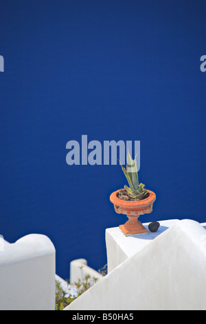 Flower pot on a traditional Greek house Stock Photo