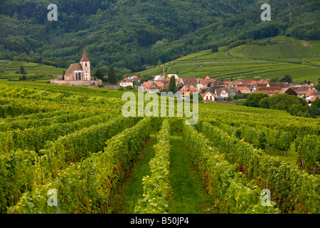 Sep 2008 Vineyards and villages along the Wine Route Alsace France Stock Photo