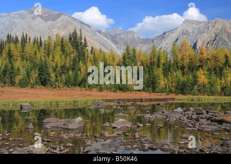 Rocky tarn on Highwood Meadows trail, Kananaskis Country, Alberta Stock Photo