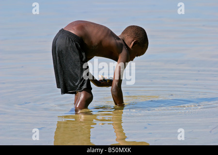 A mozambican boy collecting seafood in shallow water, Vilanculos, Mozambique, southern Africa Stock Photo