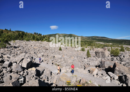 Rock slide, Crowsnest Pass, Frank Slide, Turtle Mountain, Alberta, Canada, North America. Stock Photo