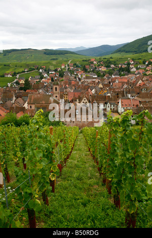 Sep 2008 View over the village of Riquewihr and vineyards in the Wine Route area Alsace France Stock Photo