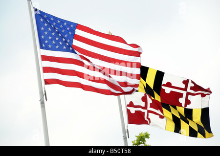 The American and Maryland State flag flying side by side Stock Photo