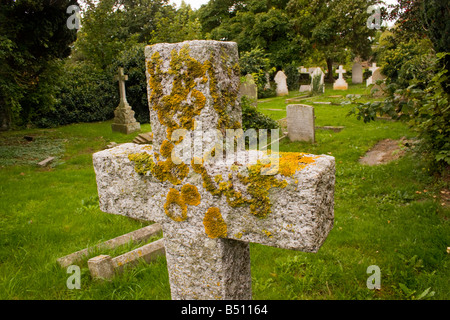 Lichen on a Cross Stock Photo