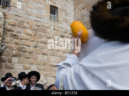 Israel Jerusalem Western Wall Sukot Festival Festival of Tabernacles portrait of an orthodox jew praying with etrog Stock Photo