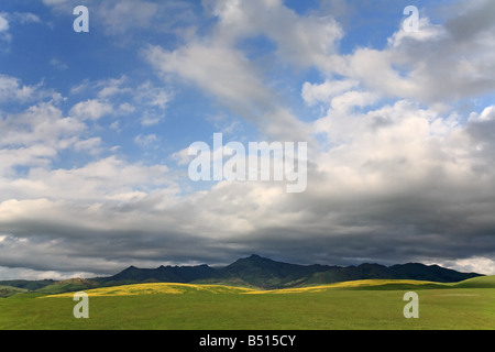 Yellow Mustard fields with mountains and moving clouds. Stock Photo