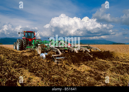 Seed bed preparation prior to planting potatoes in Skagit County WA Stock Photo