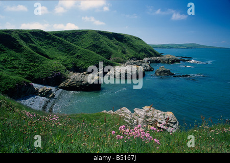 Porth Tywodog Carmel Head Anglesey North Wales Stock Photo