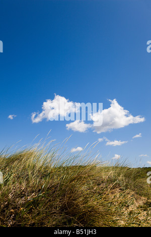 Blue Sky Over Field, Mallorca, Spain Stock Photo