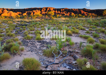 The Domes, Bungle Bungle Range, Purnululu National Park, Kimberley, Western Australia, Australia Stock Photo