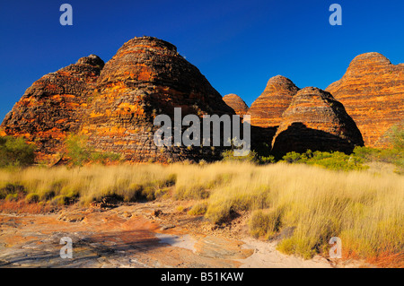 The Domes, Bungle Bungle Range, Purnululu National Park, Kimberley, Western Australia, Australia Stock Photo