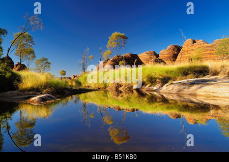 The Domes, Bungle Bungle Range, Purnululu National Park, Kimberley, Western Australia, Australia Stock Photo