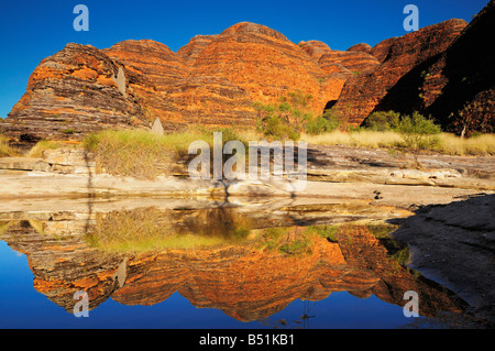 The Domes, Bungle Bungle, Purnululu National Park, Kimberley, Western Australia, Australia Stock Photo