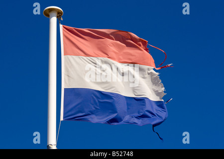 A tattered Dutch flag waves in the wind Stock Photo