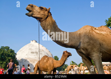 The Golghar  in Patna, capital of Bihar state, India. Stock Photo