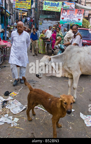 A street scene in so called blue city of Jodhpur, Rajastan, India. Stock Photo