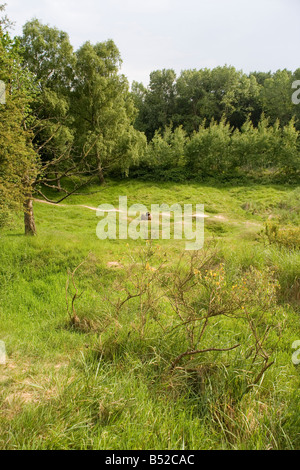 Caterpillar crater scene of a mine bown by the British on Hill 60 in the First World War near Ypres, Flanders, Belgium Stock Photo