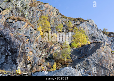 Autumn colour at Ballachulish slate quarry Scotland Stock Photo