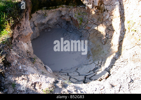 Mud Pots at West Thumb Geyser Basin: hot spring containing boiling mud in Yellowstone Park in July Stock Photo