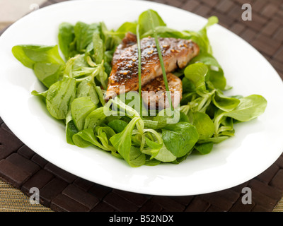 Spicy Tuna Steak and Salad Stock Photo