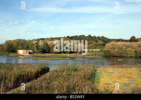 Amwell quarry Nature Reserve Stock Photo