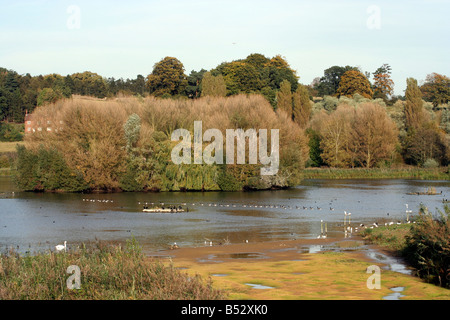 Great Amwell Nature Reserve Hertfordshire Stock Photo