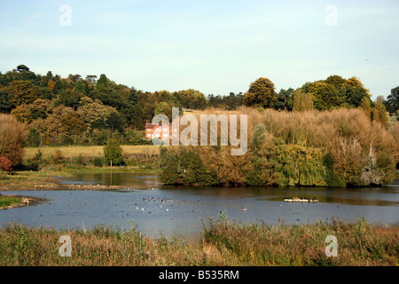 Amwell quarry Nature Reserve Stock Photo