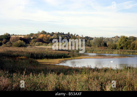 Amwell quarry Nature Reserve Stock Photo