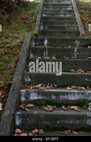 stair concrete with leaves Stock Photo