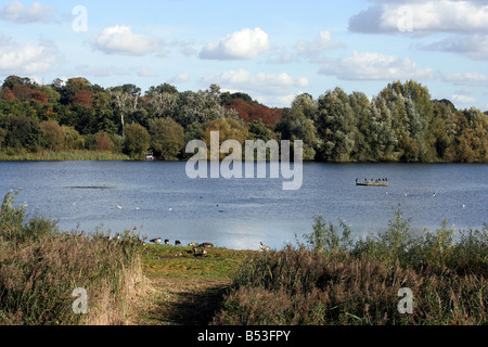 Amwell Quarry Nature Reserve Stock Photo