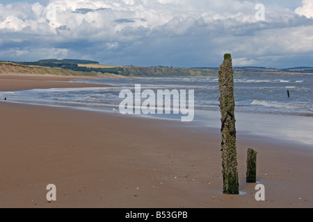 Montrose beach seafront skyscape looking north to St Cyrus Angus coast Scotland August 2008 Stock Photo