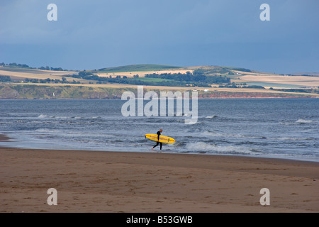 Montrose beach seafront surfer looking north to St Cyrus Angus coast Scotland Stock Photo