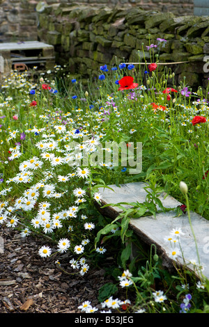 farmyard bench in a wild garden Stock Photo