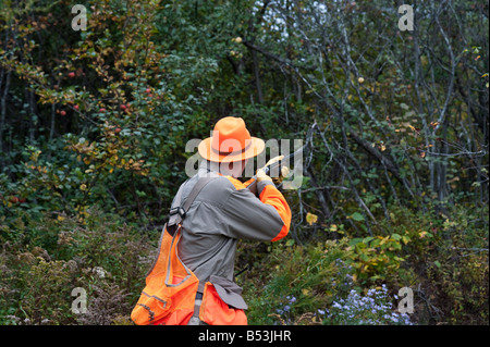 Woodcock and grouse or partridge hunting in New Brunswick Canada Stock Photo