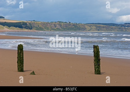 Montrose beach seafront looking north to St Cyrus Angus coast Scotland August 2008 Stock Photo