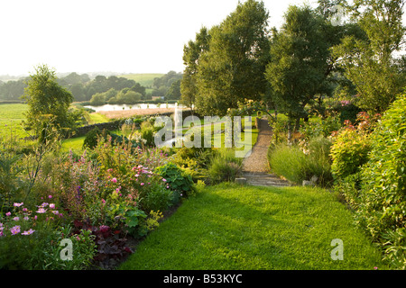 birch tree avenue in a country garden Stock Photo