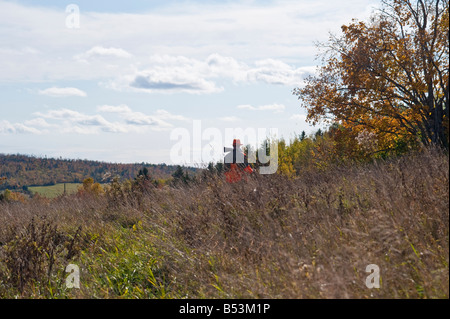 Hunting woodcock and grouse or partridge in fall cover in New Brunswick Canada Stock Photo