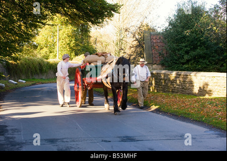 Horse and cart leading straw to the farm on a bright Autumn day in the countryside Stock Photo
