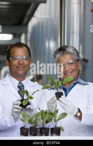 African scientists examining seedlings in factory Stock Photo