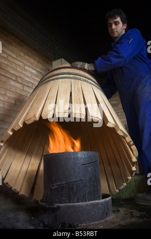 Wine cellar La Rioja Spain Stock Photo