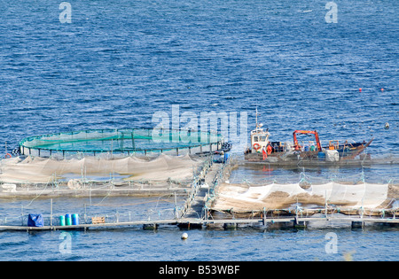 Fish farming cages in Loch Erribol Sutherland Highland Region Scotland UK  SCO 1022 Stock Photo
