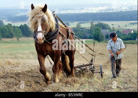 Poland Psary village, tillage drudgery toil with horse plough Stock Photo