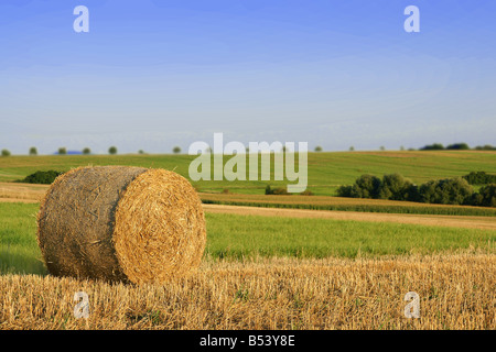 Straw bale on field under blue sky Stock Photo - Alamy