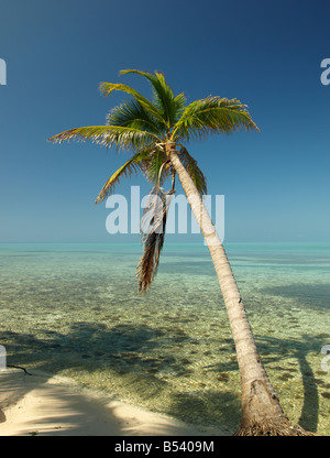 Tropical Paradise - calm before the storm Stock Photo