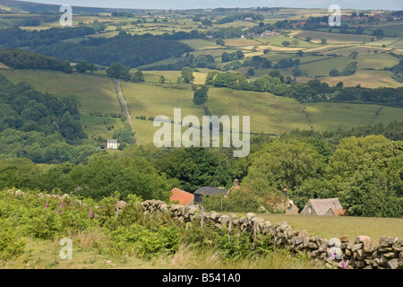 North Yorkshire Moors looking north across Esk Valley from near Beck Hole Whitby England July 2008 Stock Photo