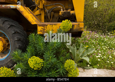 Large Mediterranean Spurge Euphorbia characias and other flowers around digger Mani Peninsula Peloponnese south Greece Stock Photo